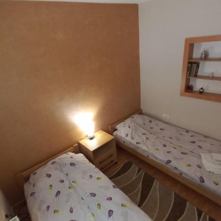Apartman Ivona Ovcar Banja Εξωτερικό φωτογραφία